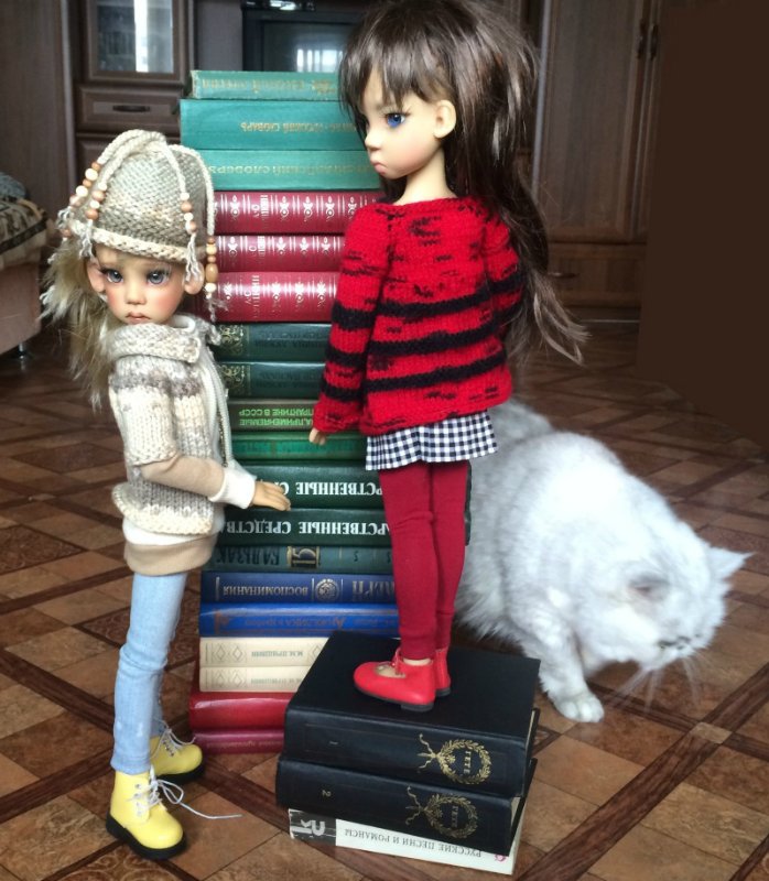 Куклы Кае Вигс и любовь к чтению
