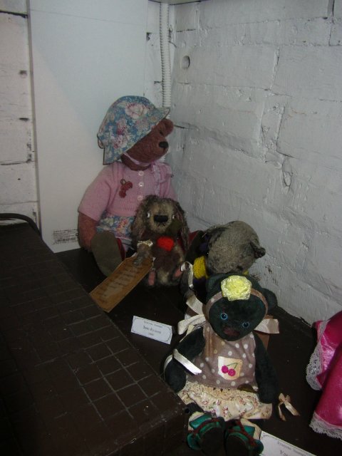 Медвежий праздник в Санкт-Петербурге. Часть 1