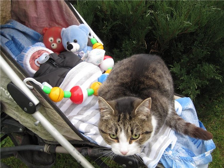 Колыбельная для малыша.Кукла реборн Тимурчик Ольги Астаповской