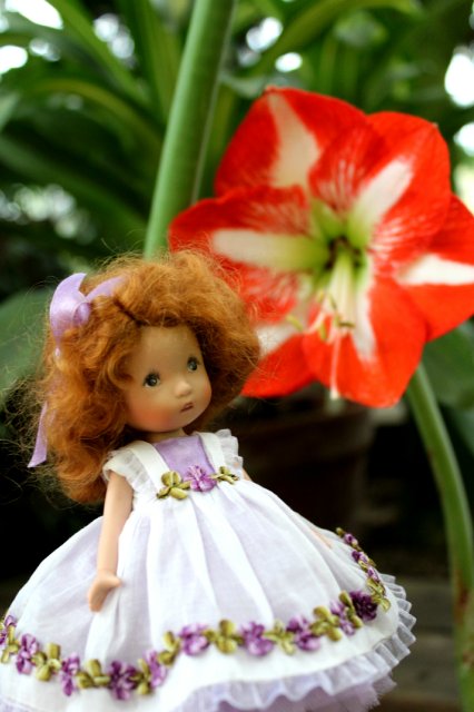 Цветочные феи - Ненси Энн, Диана Эффнер