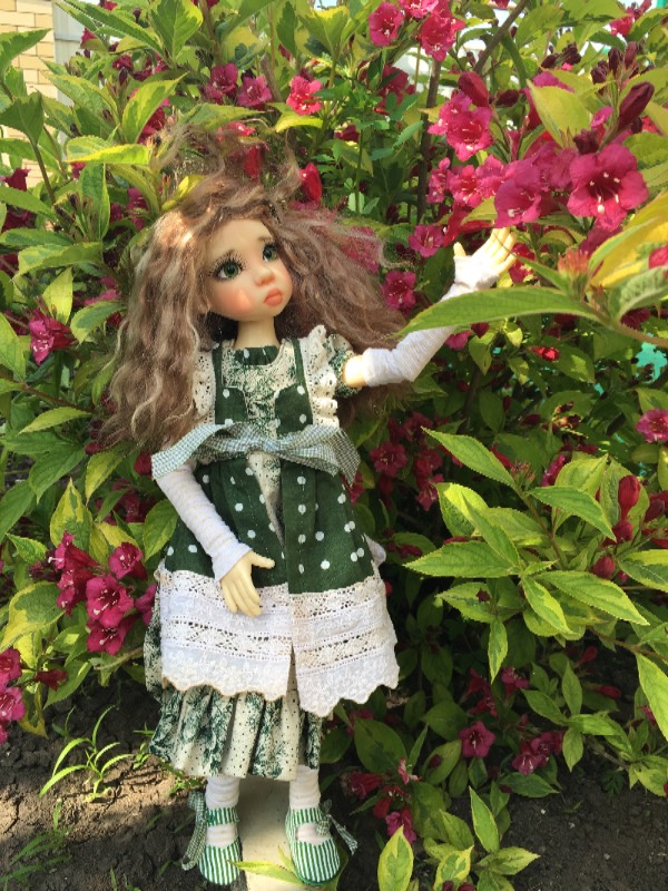 Мой цветочек, мой бриллиантик, моя звездочка... Нисса (фото 5)