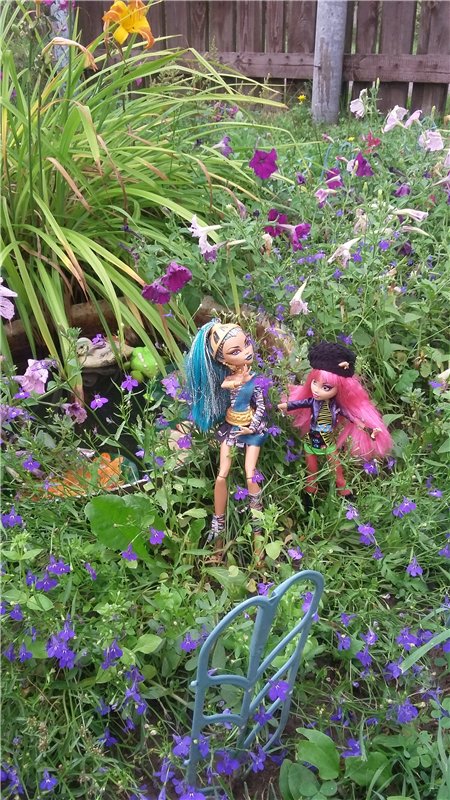 В гостях у бабушки ))) или яркое лето 2016 с девочками от Монстр Хай | Бэйбики В гостях у бабушки ))) или яркое лето 2016 с девочками от Монстр Хай (фото 5)