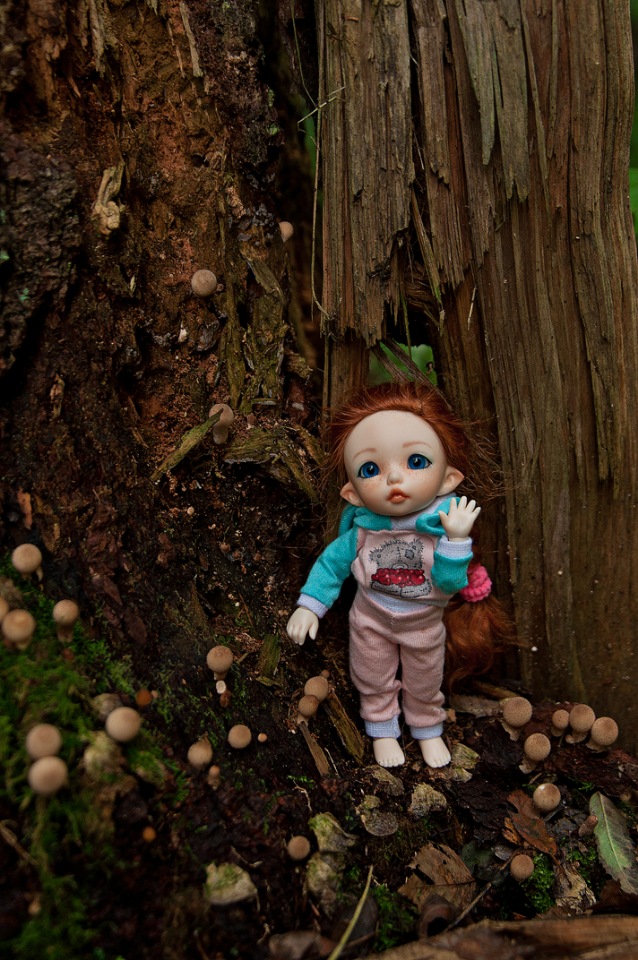 Ника в лесу (Pukifee Ante) | Бэйбики Ника в лесу (Pukifee Ante) (фото 2)