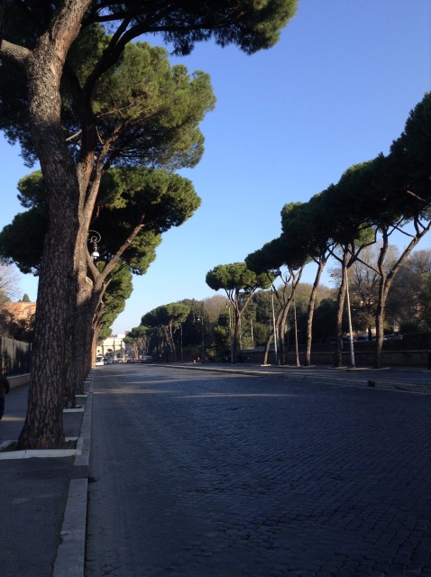 Приключения Минуш в Италии. Часть 7. Рим - Вечный вечноюный город