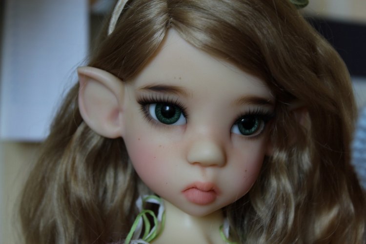 Мои ушастенькие любимицы Кайе Виггс (фото 3)