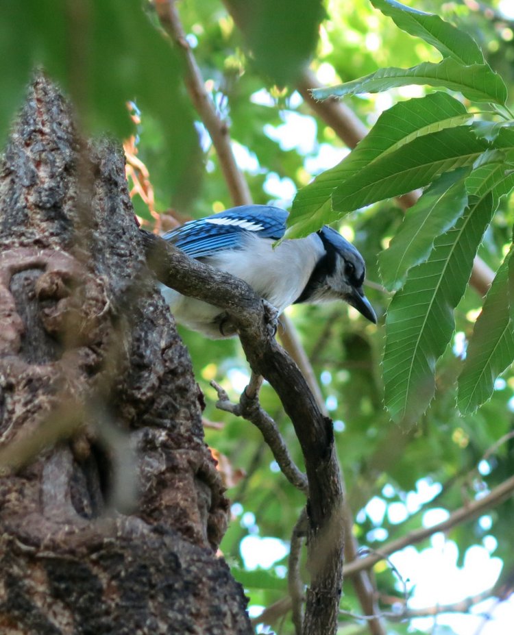 Субботняя прогулка — Болталка и разговоры обо всем: жизнь (фото 7)