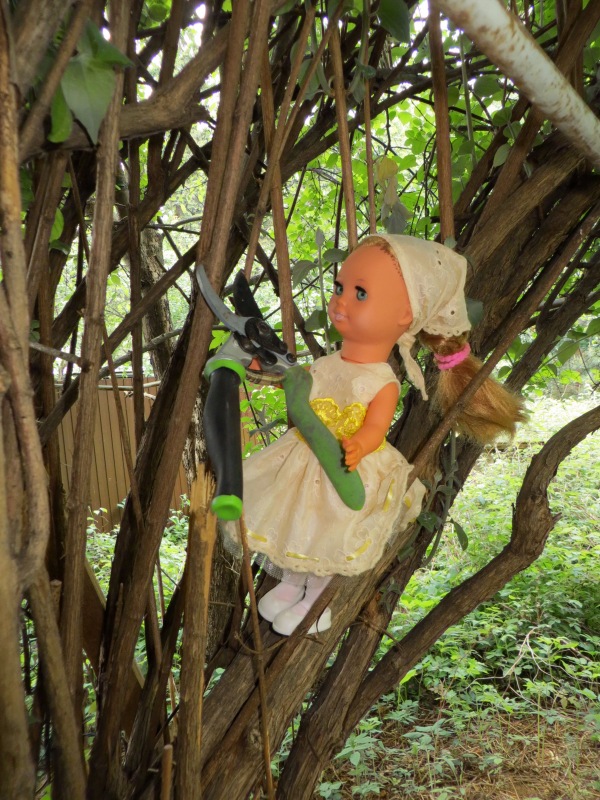 Как Шарлотта ездила на дачу