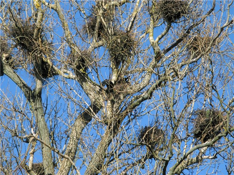 Путешествие в Бежецк, заключительная часть