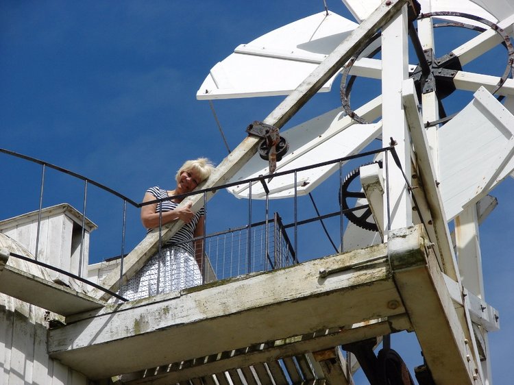 Как Пенни и Машка мельницу осматривали