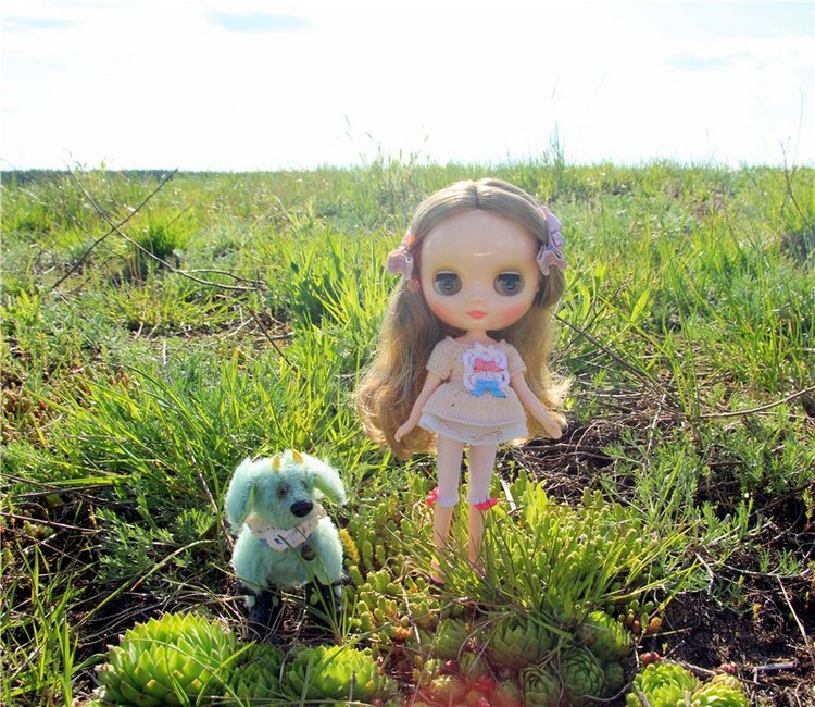 Блайзочки на природе — Оригинальные куклы Blythe (Блайз): Takara