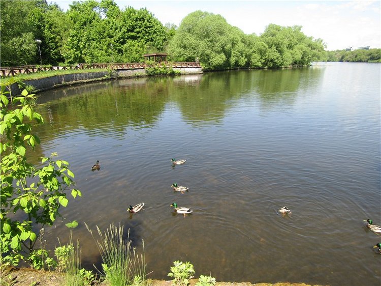Непоседа Бетси Robert Tonner. Летний день в парке