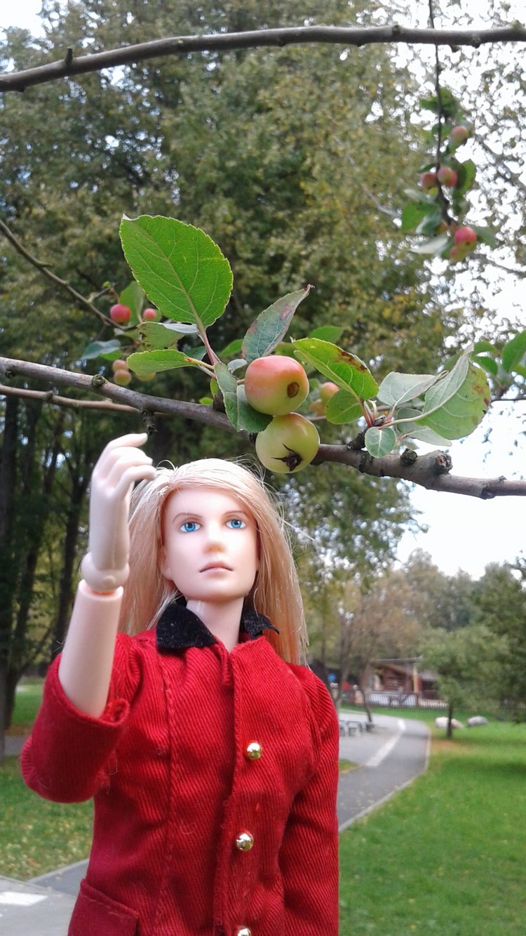 Зимнее солнце. Глава 6. Дом там, где сердце