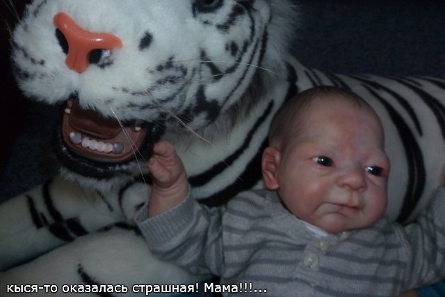 Долгожданный Артёмка в своих новых апартаментах (фото 8)