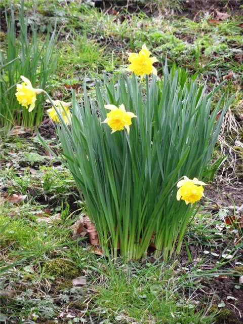 Рут, Эстер и шоколадная фабрика. Cadbury World, Bournville (фото 10)