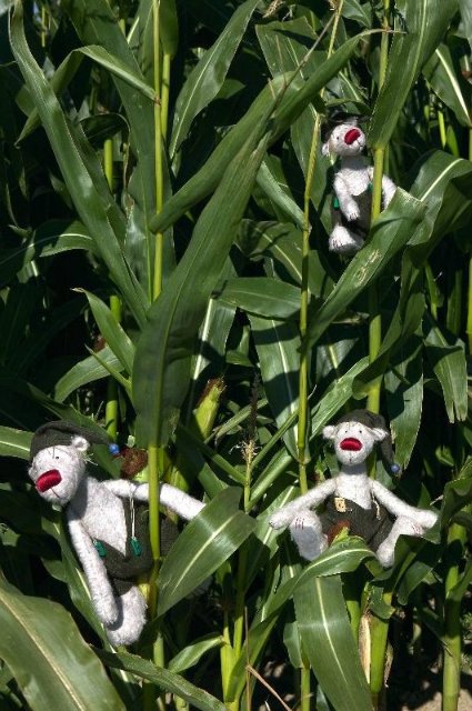 Zwergnase Коллекция 2007, продолжение