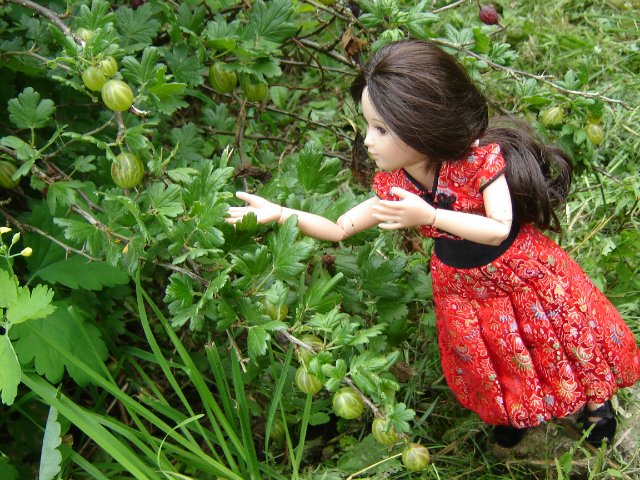 Компромисс: моя первая БЖД: Люси - Senson doll, в гостях на даче