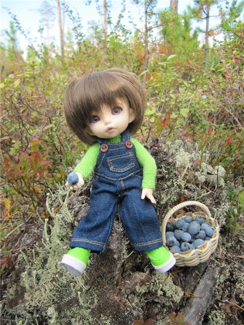 Как Майка за ягодами ходила. Кукла БЖД | Бэйбики Как Майка за ягодами ходила. Кукла БЖД