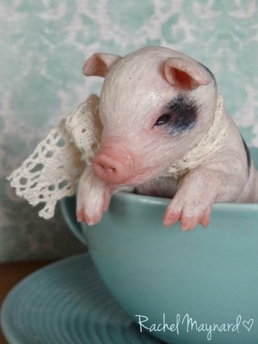 Зверятки-реборнятки — Молды и прототипы Реборн (Reborn): новинки