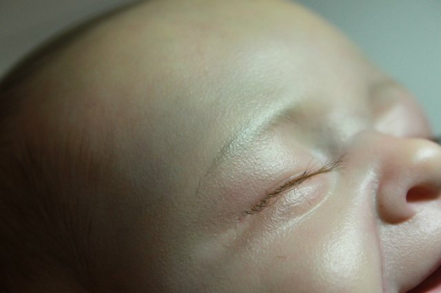 Мои двойняшки-кукла реборн Элины Кудрявцевой