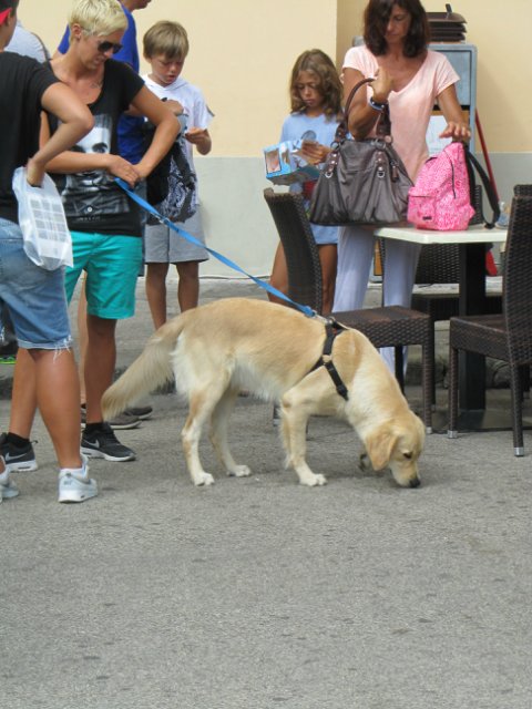 "Моя Италия". Часть 3 - Виареджо, Лукка, Пиза