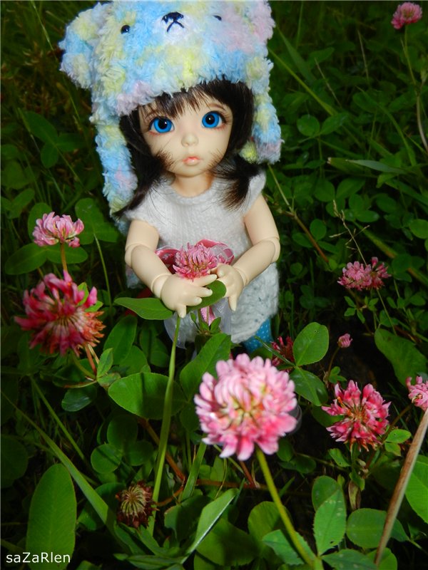 Варвара путешевственница (Литтлфи Анте)