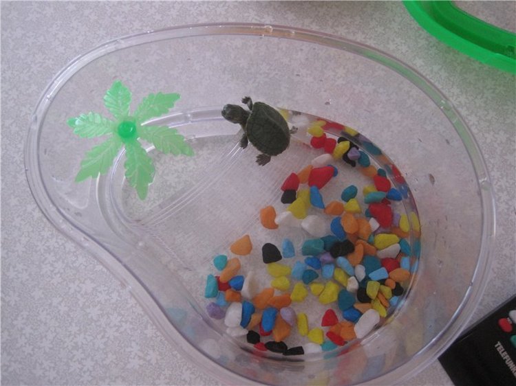 Галчонок и лето. Винтажна куколка СССР Галя