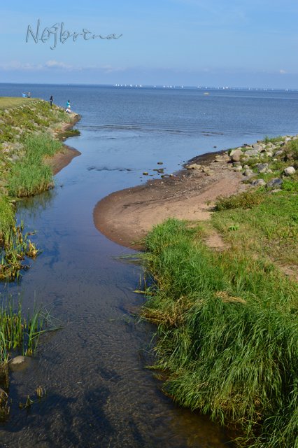 Питер - самый лучший город на земле! Вихтель Rosemarie Anna Muller