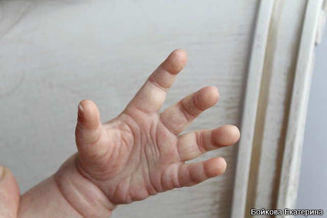 Кукла реборн Frida от Karola Wegerich в моём исполнении