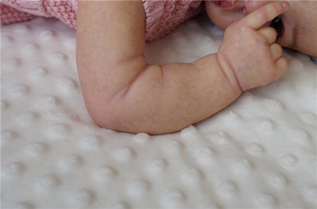 Saskia-Шарлотта. Кукла реборн Наталии Коноваловой