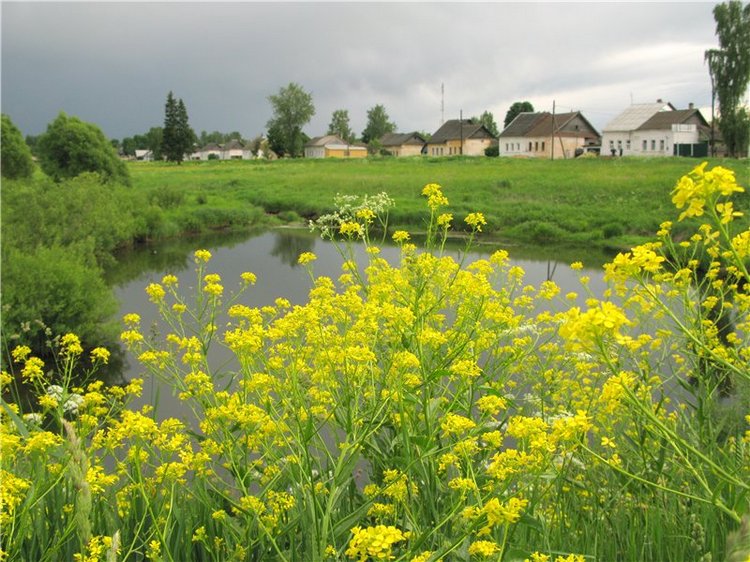 46-ой Пушкинский праздник поэзии в Берново. Часть вторая