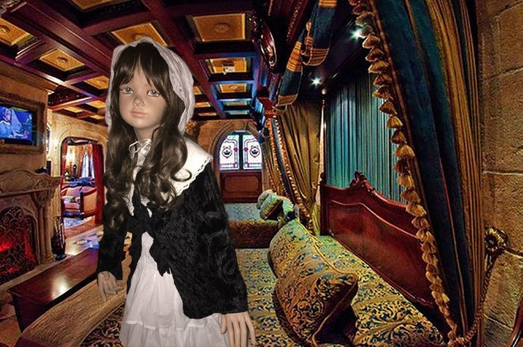 Таинственная гостья из Франции (фото 3)