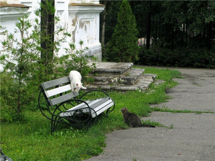 Кашин - город русского сердца. Часть седьмая. Вознесенский кафедральный собор