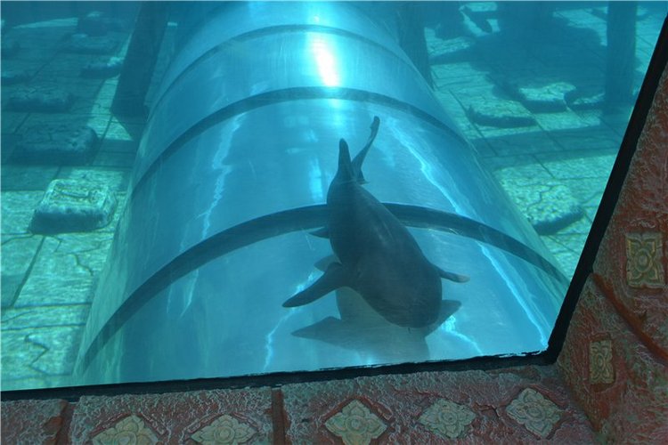 Испания. Тенерфе. Часть 3. Сиам парк