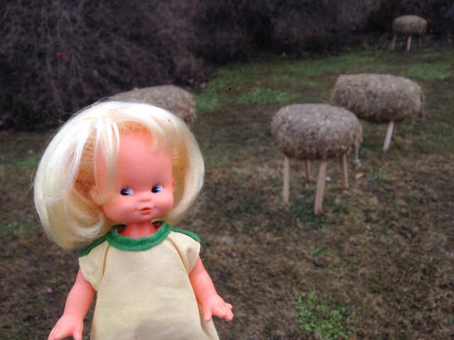 Фотосессия куклы ГДР Косолапки в Аптекарском огороде