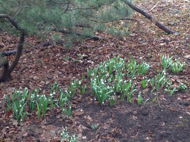 Фотосессия куклы ГДР Косолапки в Аптекарском огороде