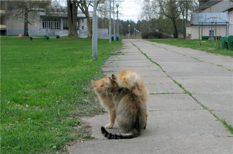 Майский день в Митино — Туризм и путешествия: фотоотчеты из поездок