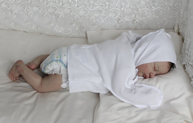 Сиренити от Екатерины Бойковой. Serenity Laura Lee Eagles