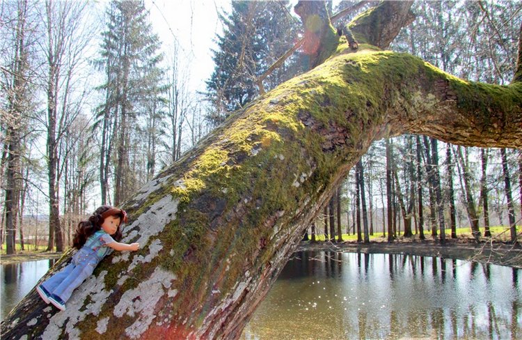 Берновская весна с Адель. Мини Джульетта от Sylvia Natterer