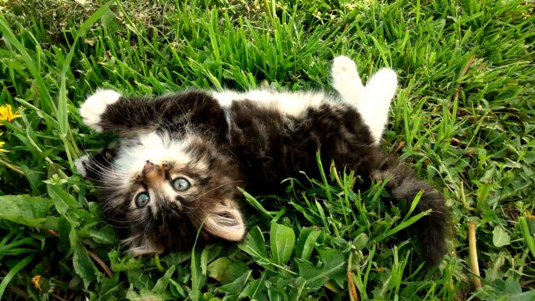 Кукла Нина. Мой подарок от подруги