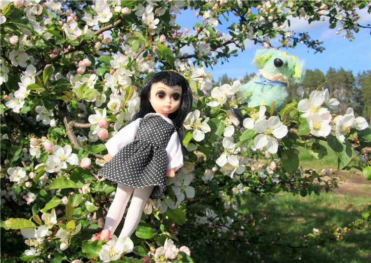 Блайзочки на природе — Оригинальные куклы Blythe (Блайз): Takara