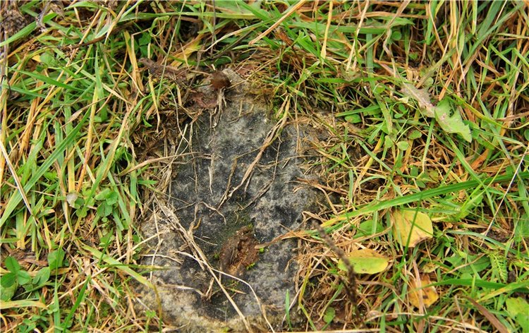 Тверской Водопад — Туризм и путешествия: фотоотчеты из поездок