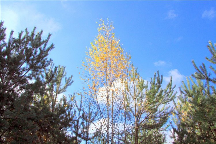 Зайка Зося. Авторская ручная работа Труничевой Ирины (фото 9)