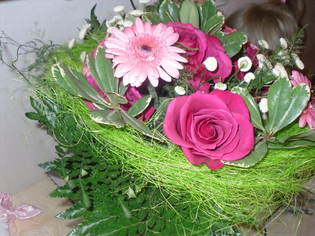 Девчонки и мальчишки, любимые мои