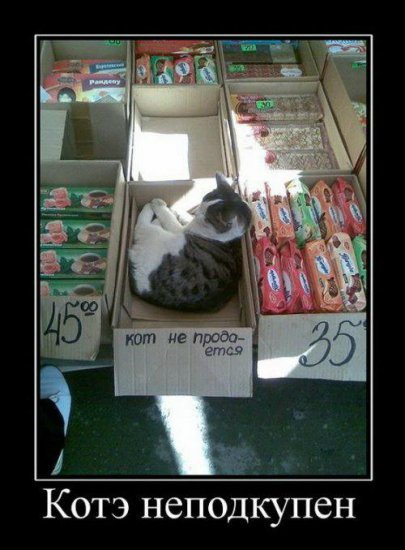 Курс на позитив) или пилюля хорошего настроения на весь день (гарантия!) | Бэйбики Курс на позитив) или пилюля хорошего настроения на весь день (гарантия!)