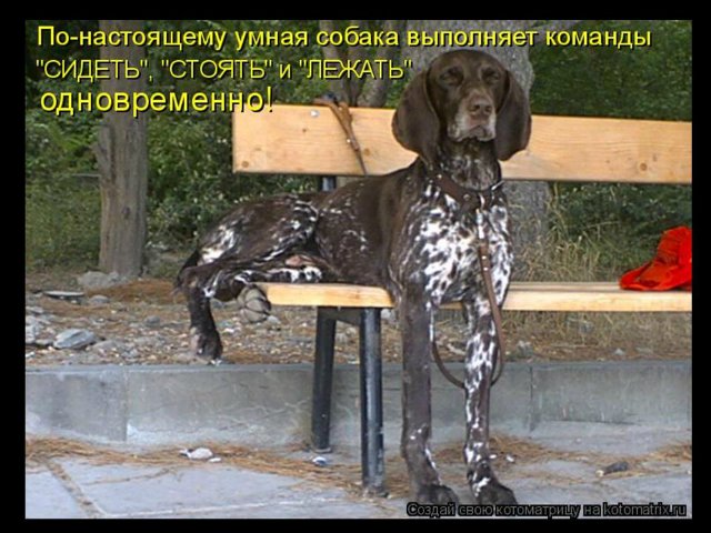 Понедельник - день тяжёлый | Бэйбики Понедельник - день тяжёлый