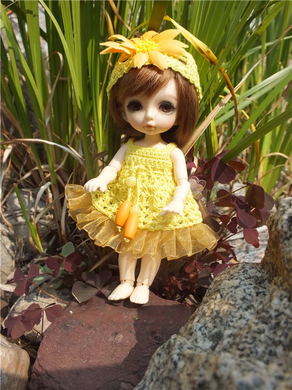 Моя сладкая и очень любимая Зойка.(PukiFee Zoe)