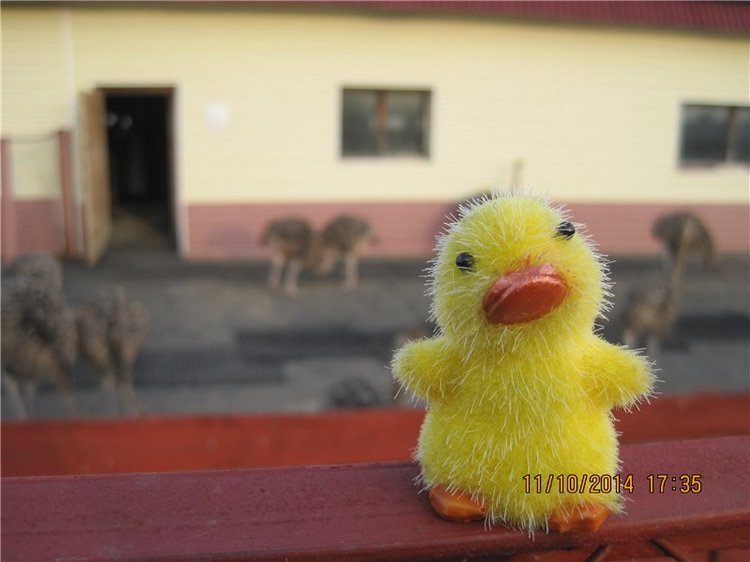 Дружок — Интересные игрушки и фигурки (разное): редкие (фото 6)