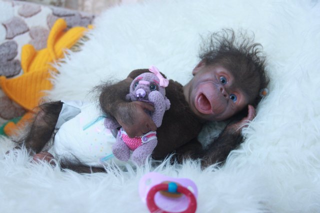 Манюня - обезьянка реборн Элины Кудрявцевой