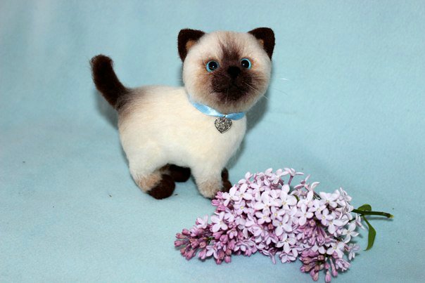 Котики моей сестры. Игрушки валянием из шерсти