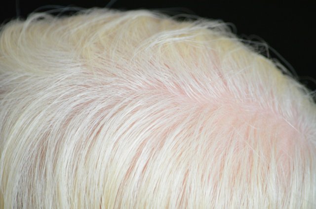 Габриэла и Тиффани - два милых создания. Куклы реборн от Регины Мельниченко (фото 6)